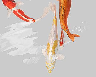 会免版《对马岛之鬼：奇谭模式》存在问题  影响本体升级PS5版